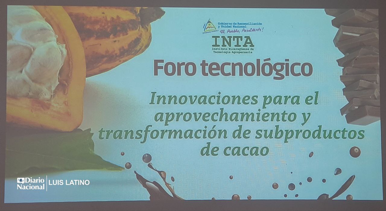 Desarrollan investigación sobre el aprovechamiento del cacao en Nicaragua