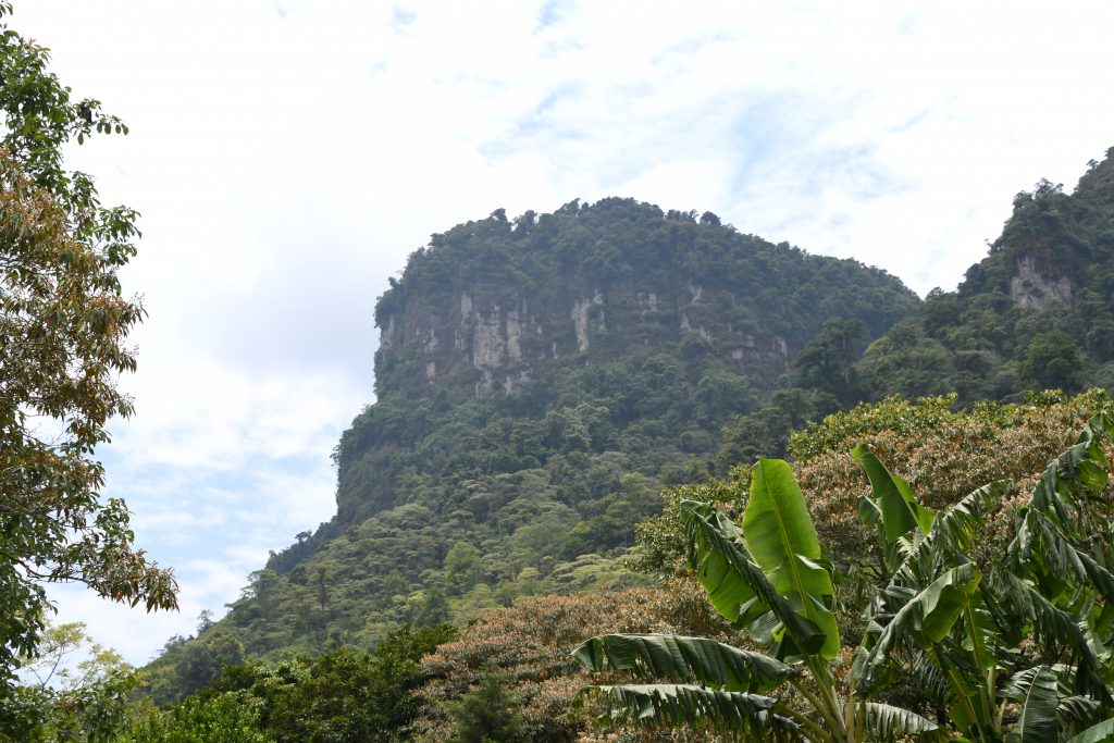 RESERVAS NATURALES MACIZO DE PEÑAS BLANCAS Y KILAMBÉ