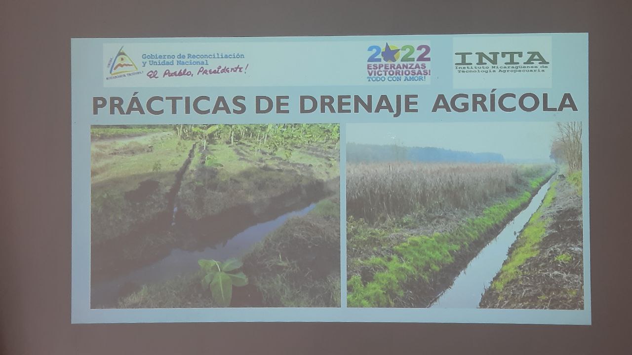 Implementación de alternativas para drenar los suelos ante copioso invierno