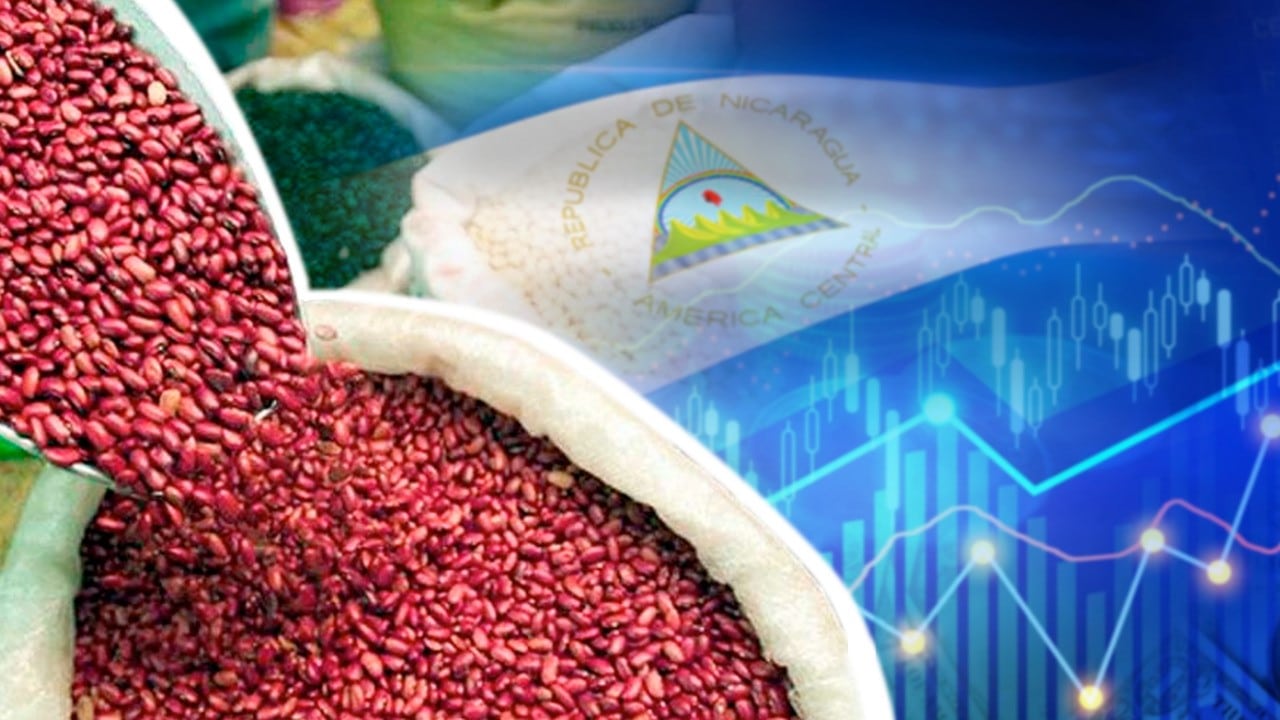 Nicaragua avanza en caminos de sostenibilidad y seguridad alimentaria
