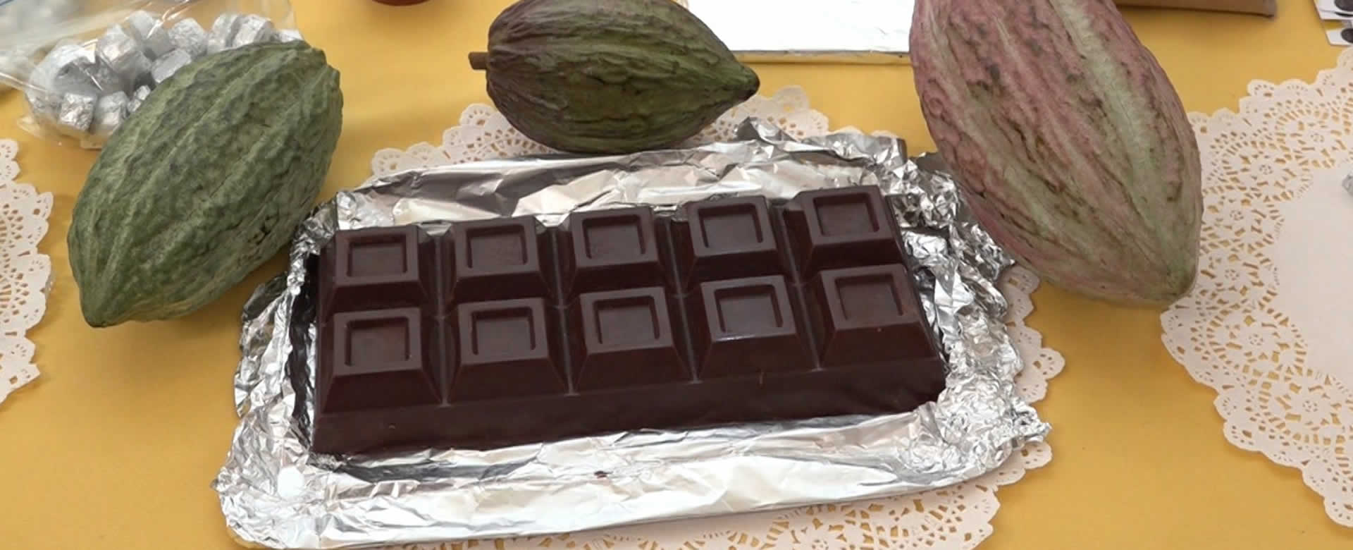 Nicaragua avanza en la producción del cacao