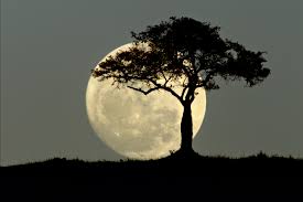 En Agosto será la ultima Superluna del Esturión 