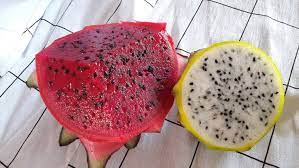 La Pitahaya y sus Beneficios