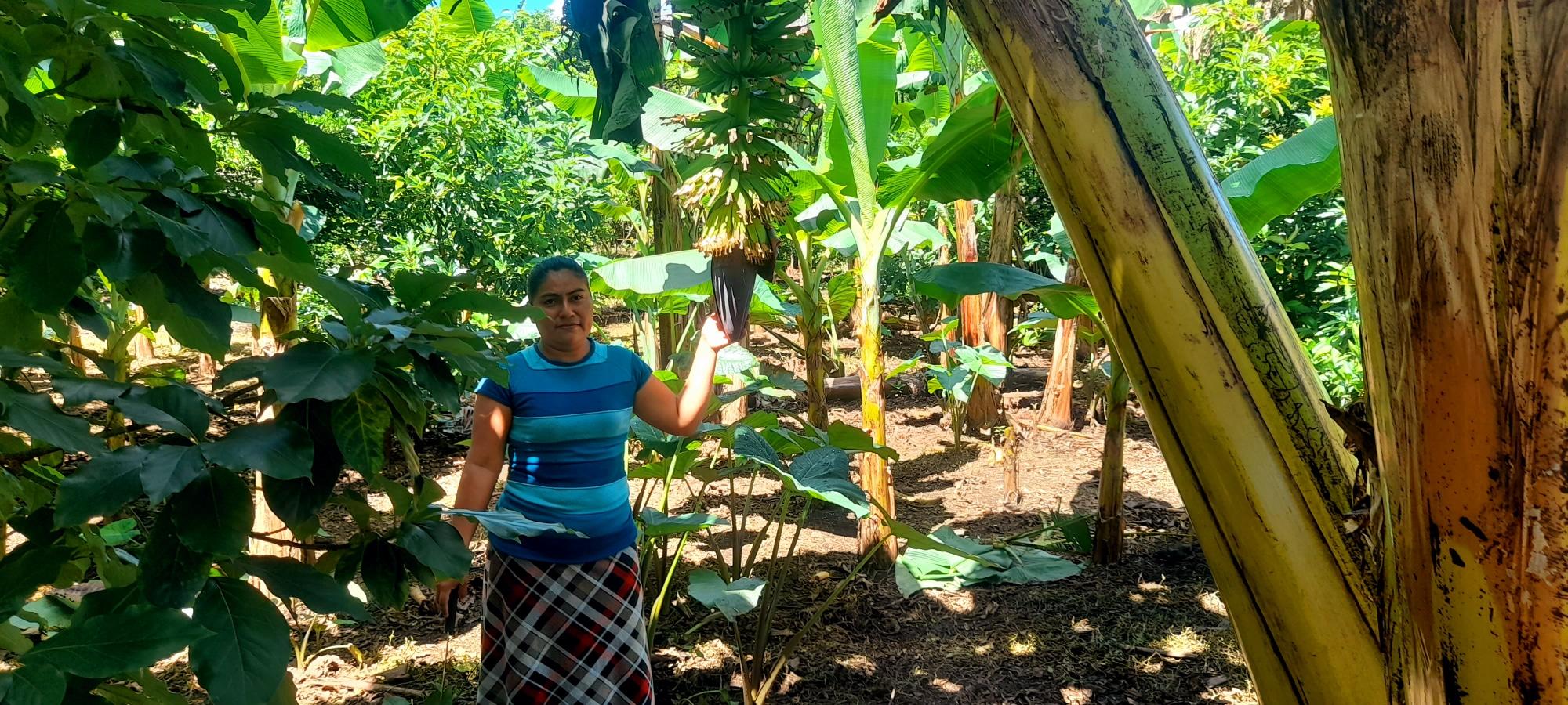 Pequeñas Parcelas en Jinotepe una Forma de Emprender