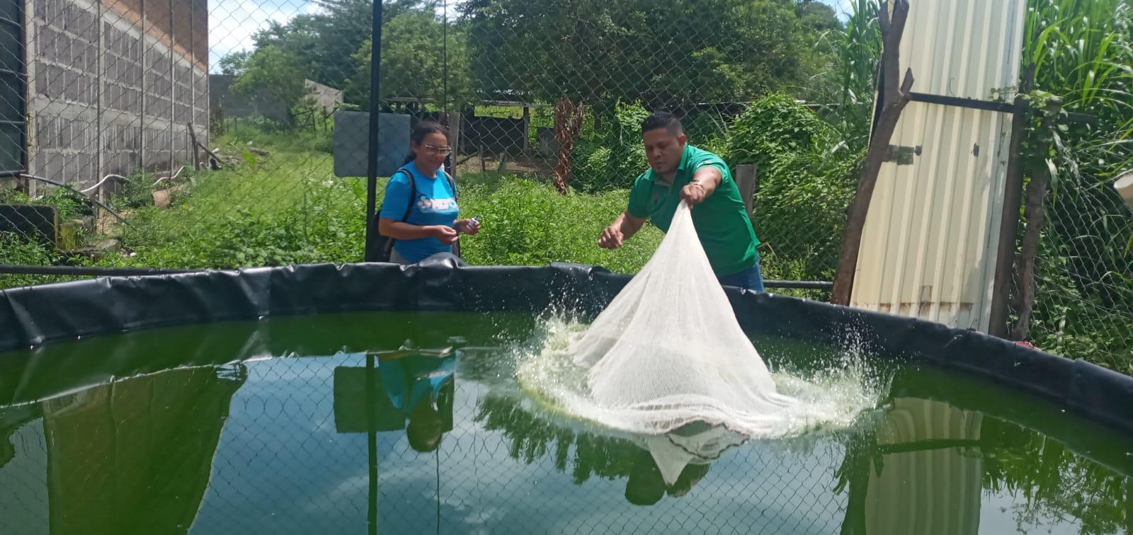 La Acuicultura a Pequeña Escala una Nueva Forma de Emprender