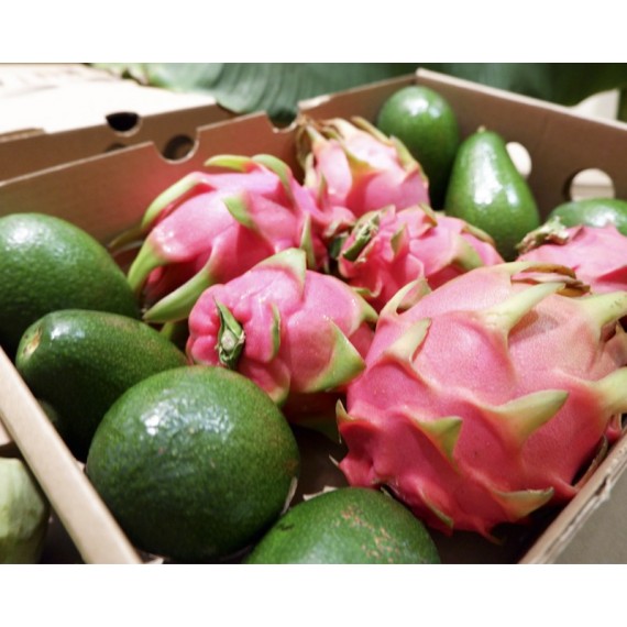 Producción Nacional de Frutas en Constante Crecimiento