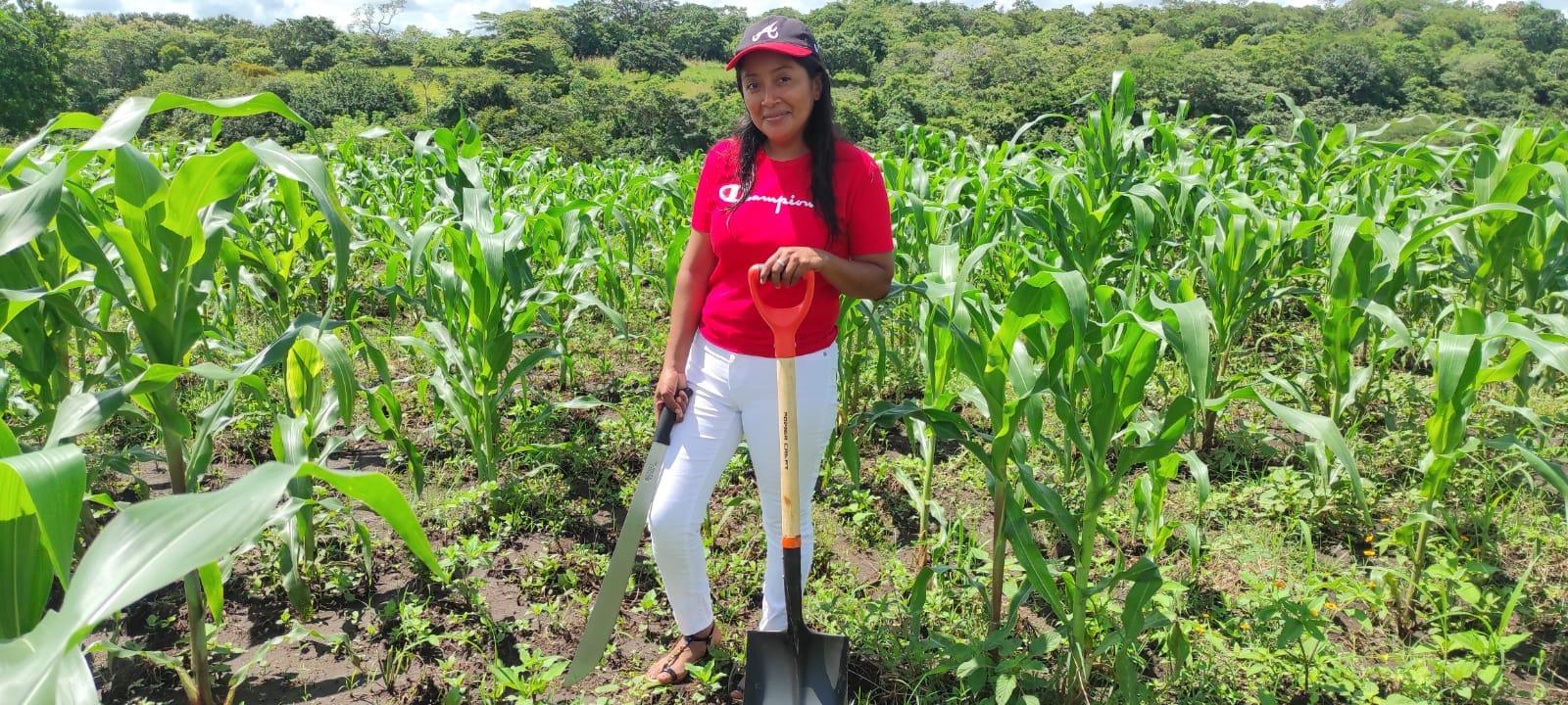 Mayores Expectativas en la Producción de Granos Básicos