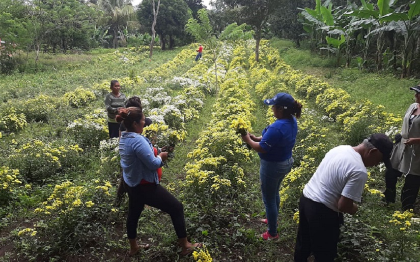 Masaya «La bella ciudad de las flores»