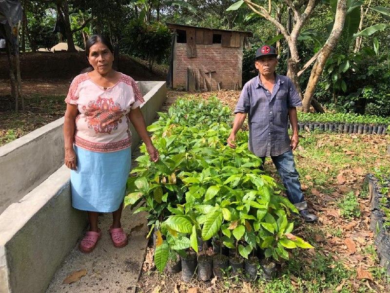 Diversificación de los Huertos Familiares