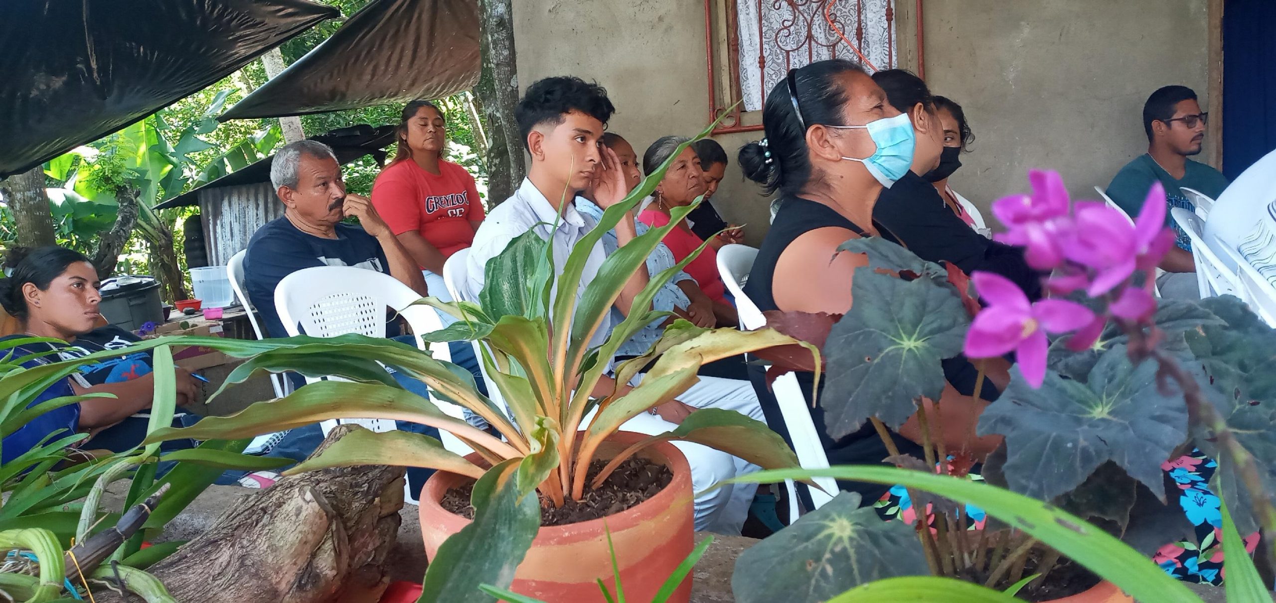 Producción de Orquídeas en Nicaragua un Sueño Hecho Realidad