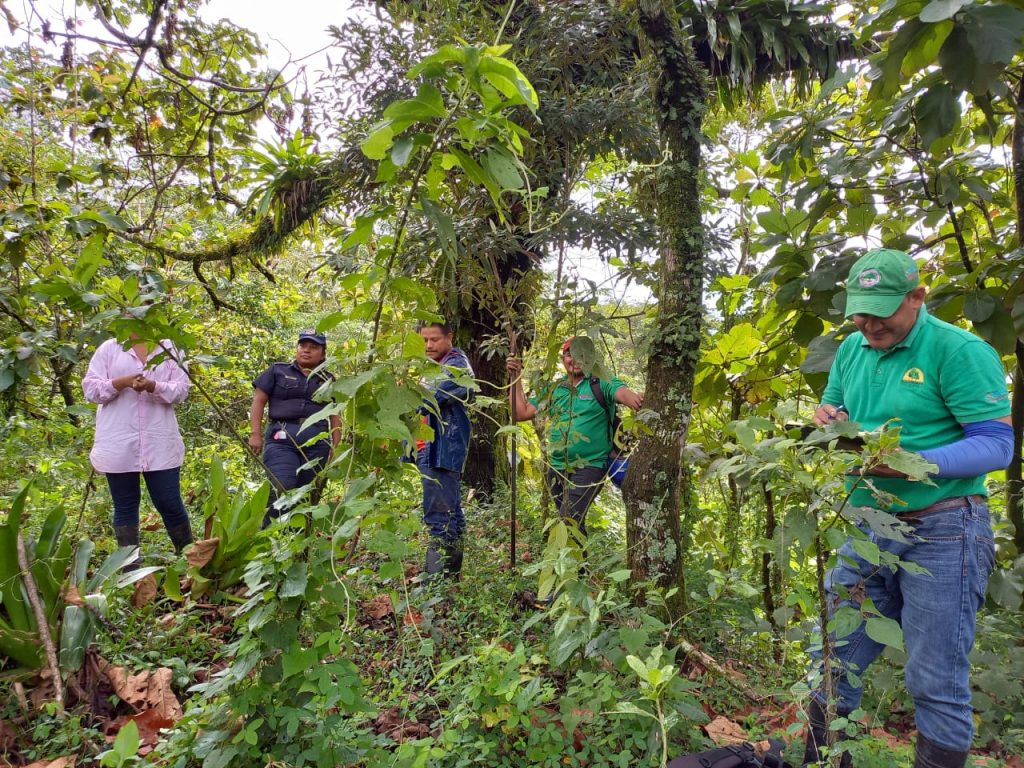 Cuarta Jornada de Reforestación «Verde te Quiero Verde»