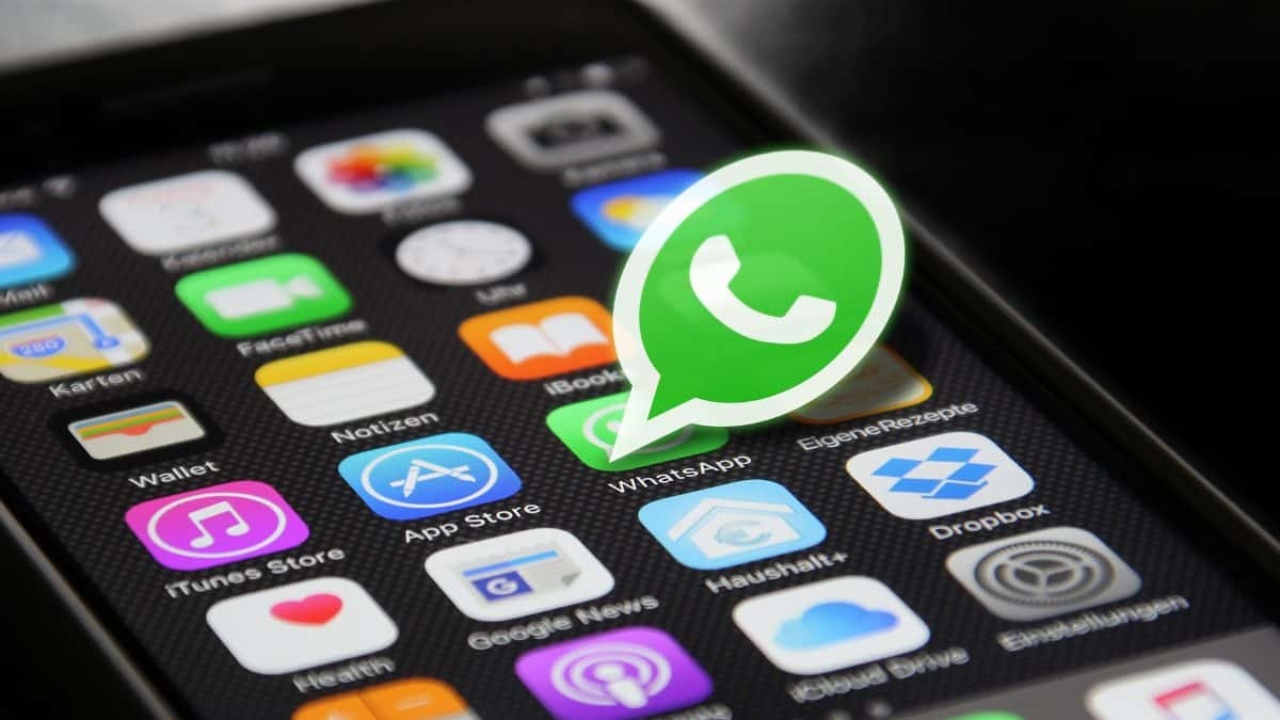 !Adiós WhatsApp!