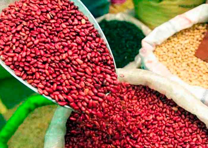 Nicaragua con alta exportación de frijol rojo
