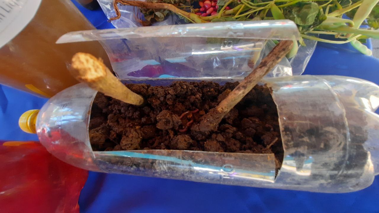 Expo Feria de Bioinsumos Orgánicos