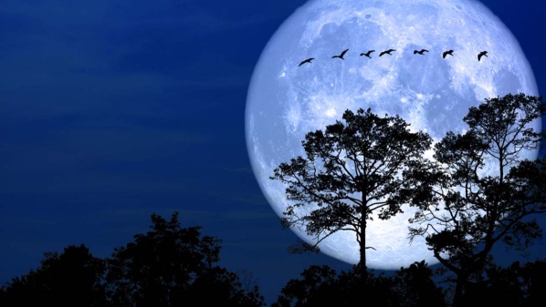 Primera Luna de Nieve del 2023