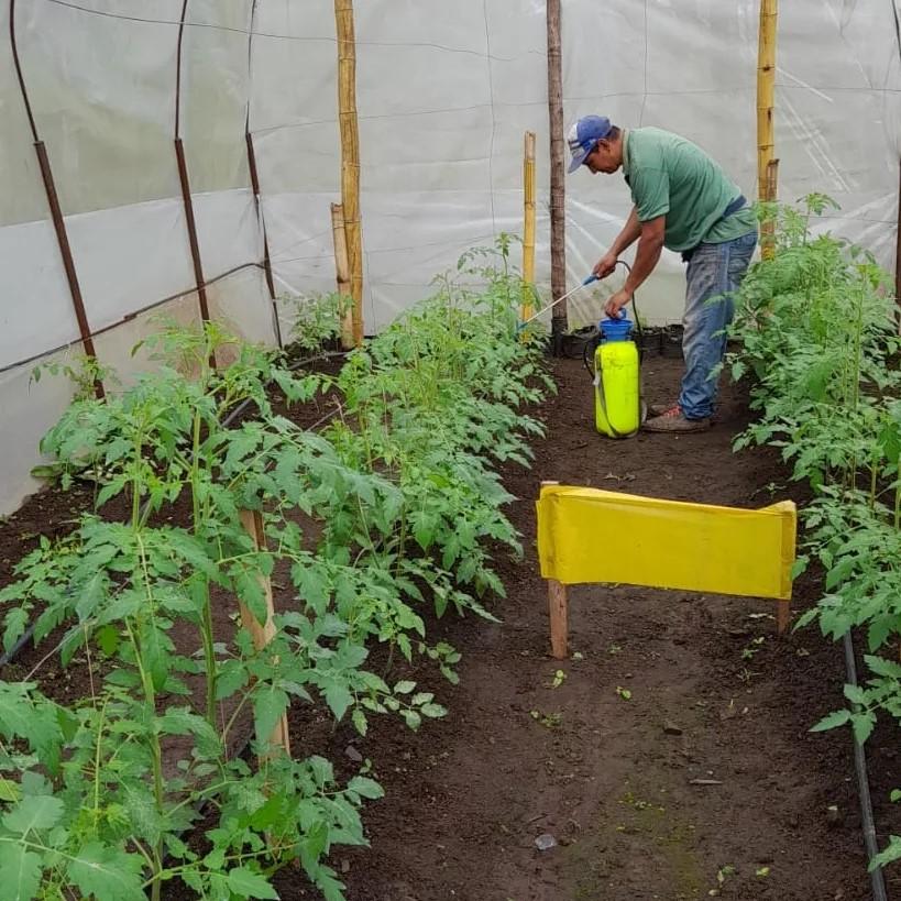 Vitrinas demostrativas a beneficio de los productores