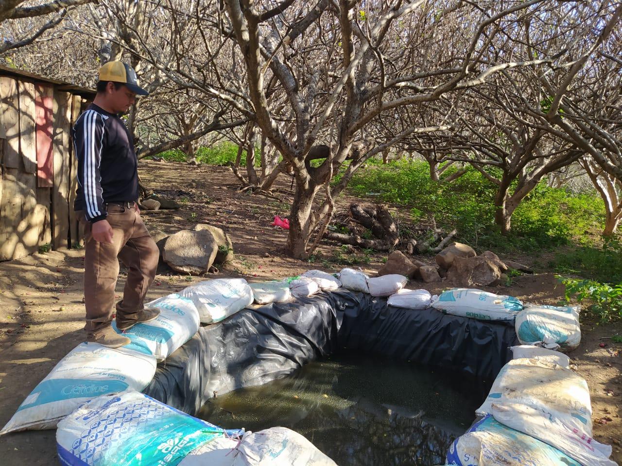 Patios Saludables fortalecen la economía de Nicaragua