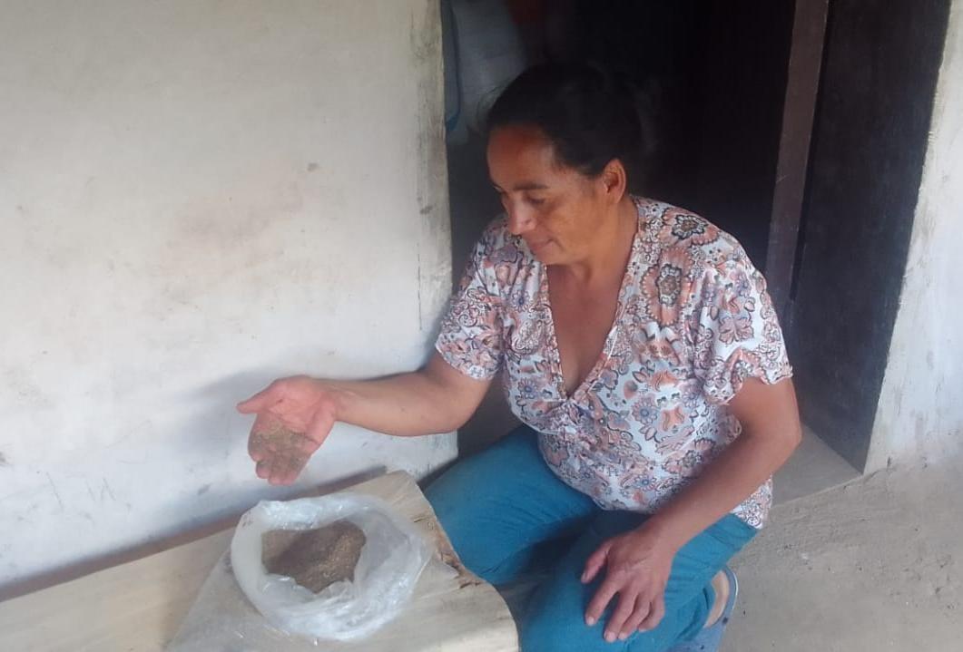 Productores de Estelí incursionan en la producción de Chía y Linaza