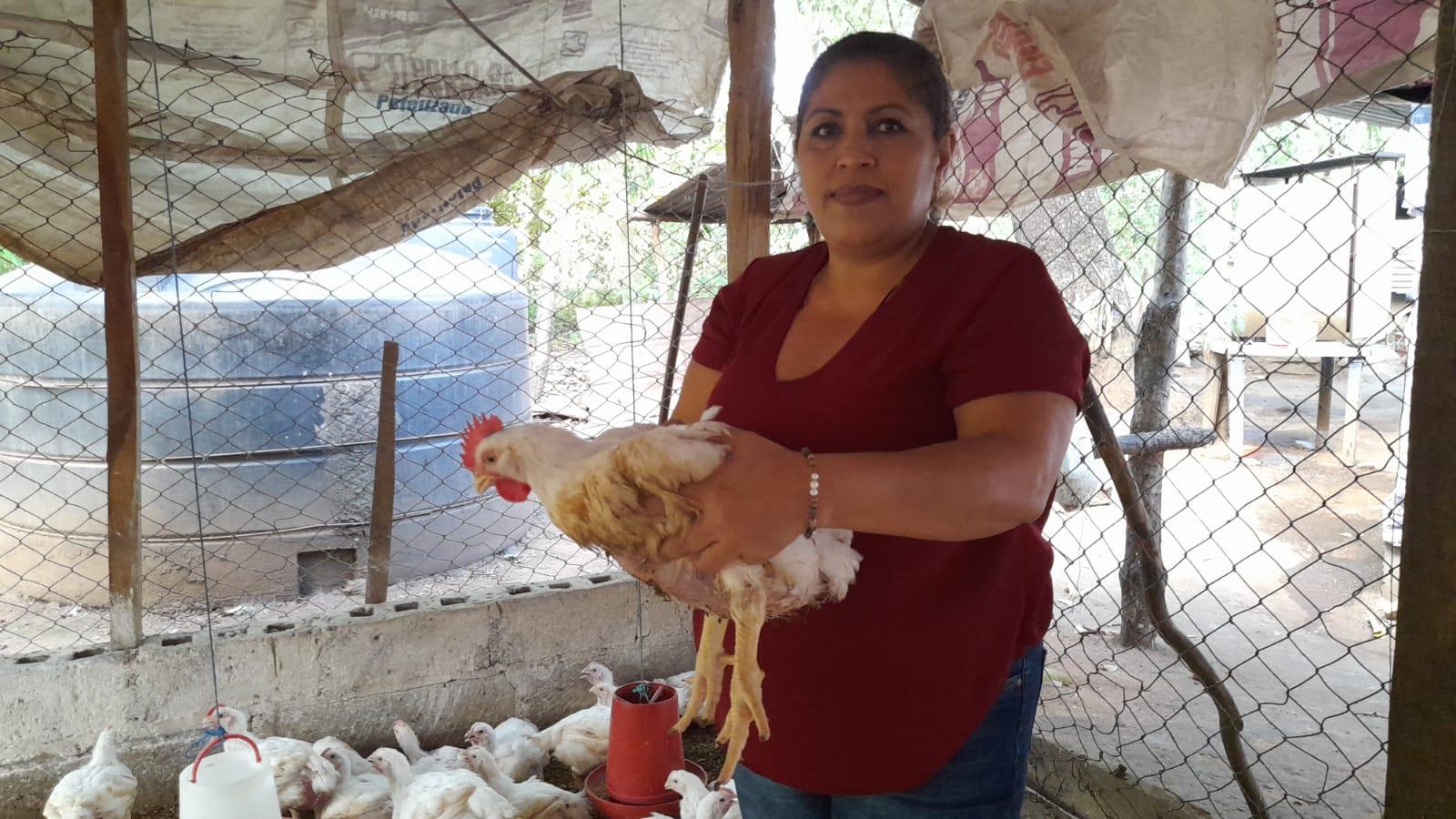 «Granjita Maltes» Dinamiza la economía de los Granadinos