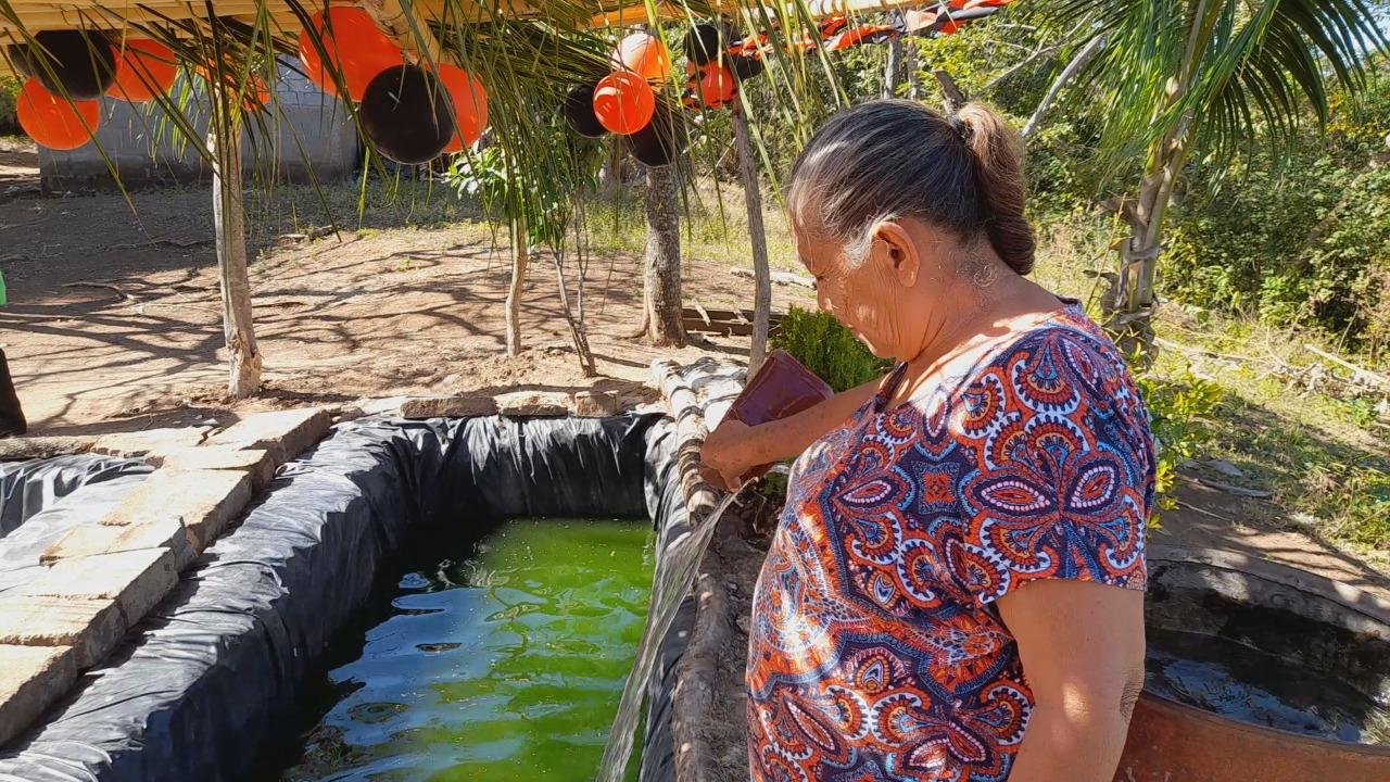 Reproducción y cultivo de tilapia brinda oportunidad de desarrollo