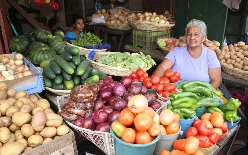 Buena cosecha de hortalizas garantiza abastecimiento y bajos precios en mercados de Nicaragua