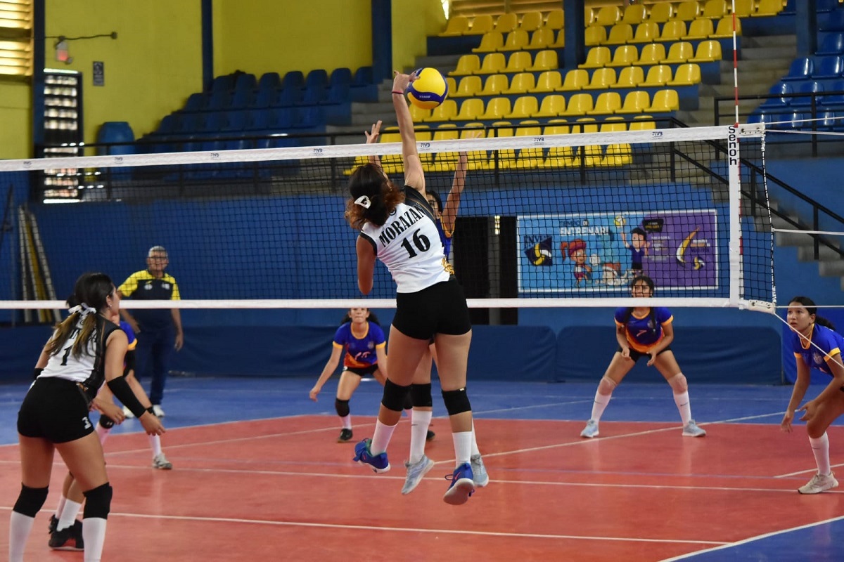 Voleibol de Primera División finaliza primera vuelta