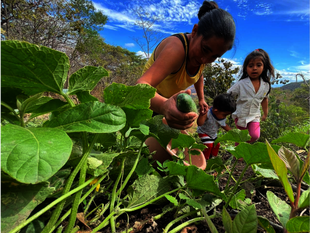 Nicaragua inaugura centros y fincas tecnológicas