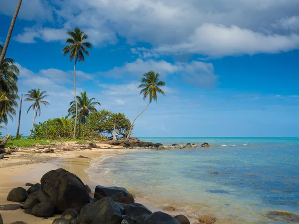 Instituciones del Gobierno de Nicaragua se unen para brindar un verano seguro