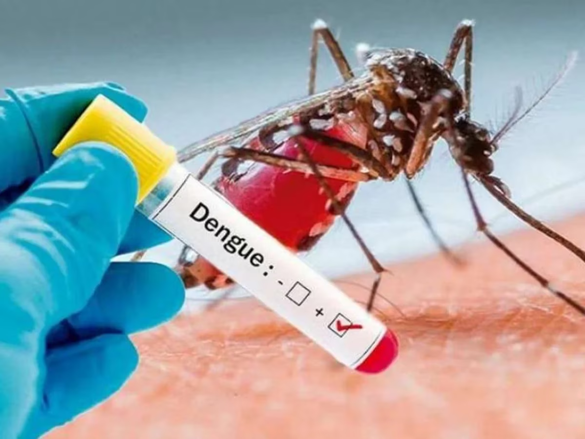 Alerta por dengue en Argentina