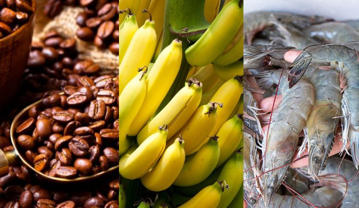 China un nuevo mercado para Honduras