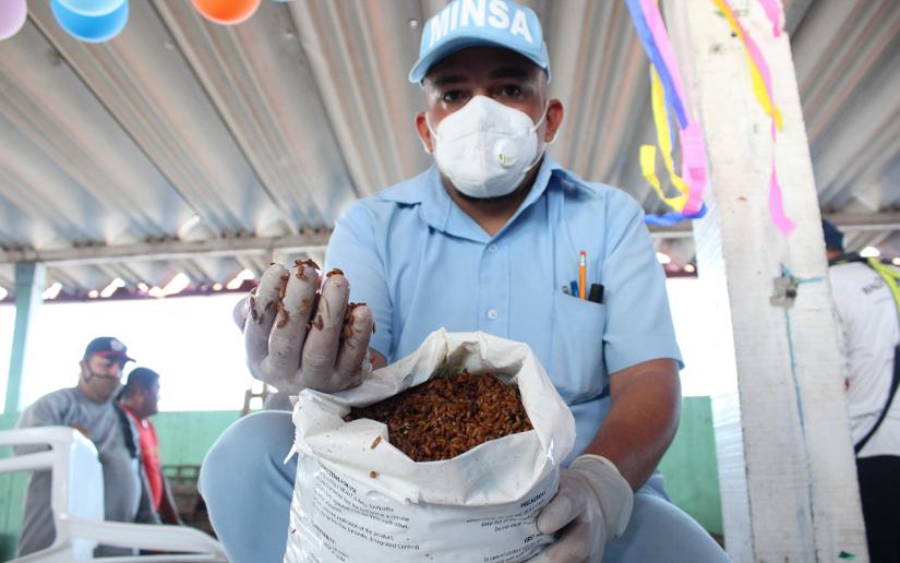 Nicaragua Registra una Disminución Notable en los Casos de Malaria y Leptospirosis