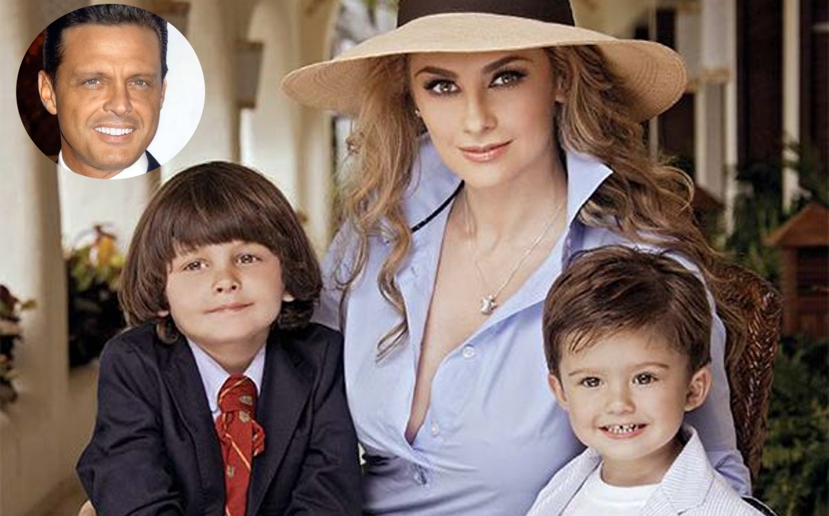 Luis Miguel “se pone al día” con la manutención de sus hijos