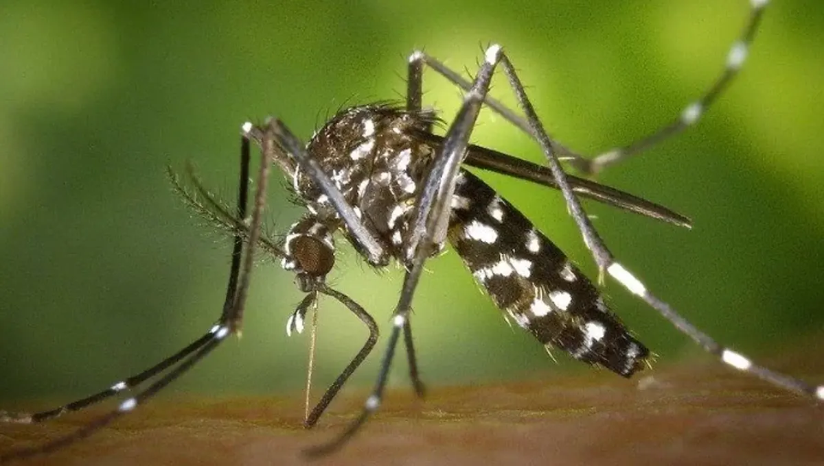 Nicaragua presenta Notable descenso en  enfermedades epidemiológicas