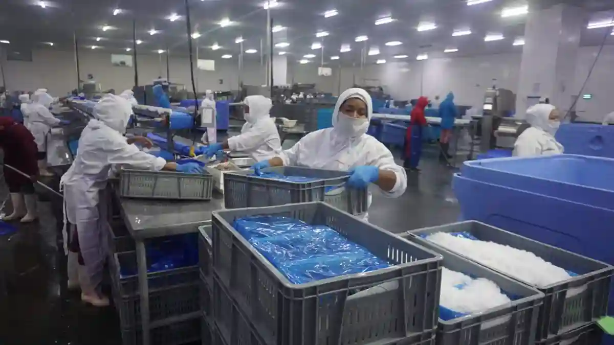 Nicaragua Alcanza Éxito en Exportación de Mariscos a China