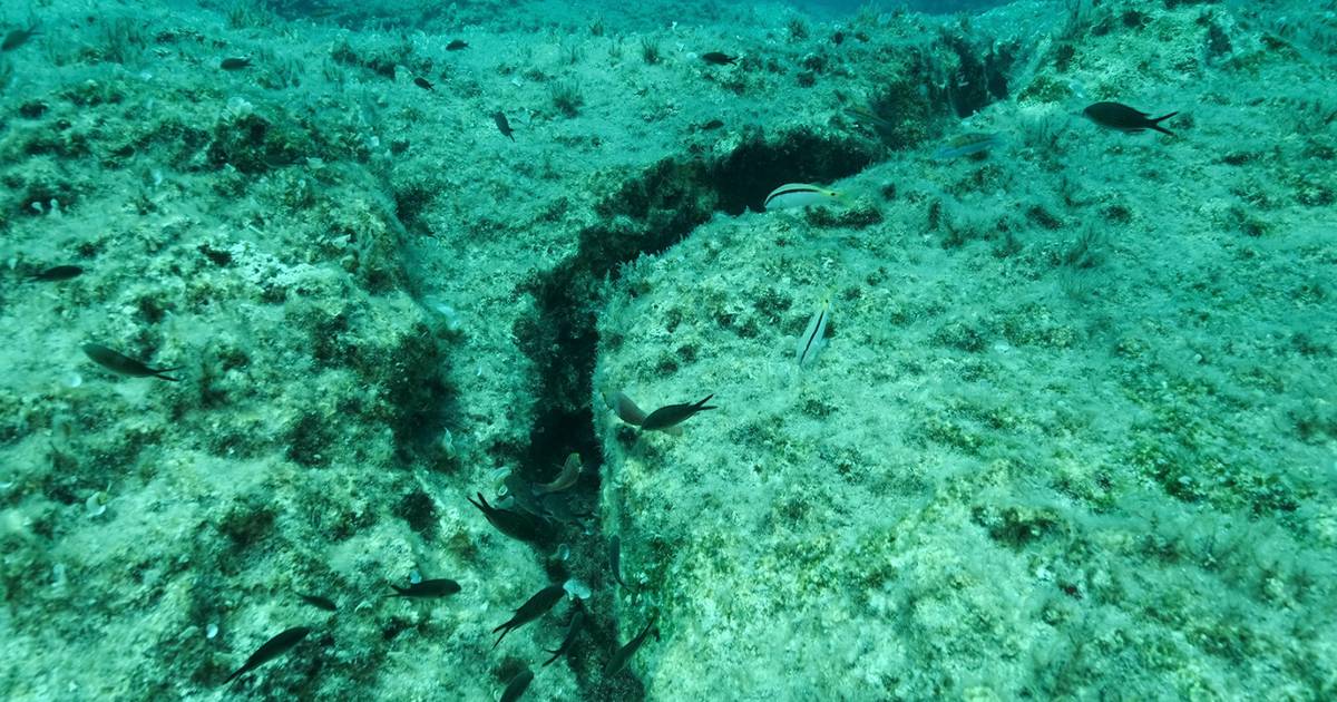 Más de 2 mil terremotos registrados en un día en el fondo del Océano