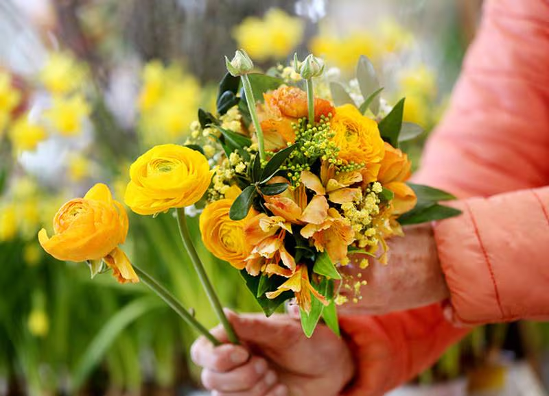 ¿Por qué se regalan flores amarillas el 21 de marzo?