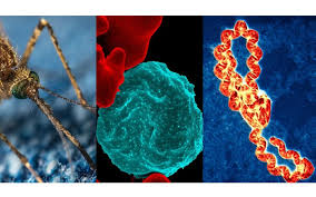 Disminuye casos de enfermedades epidemiológicas en Nicaragua