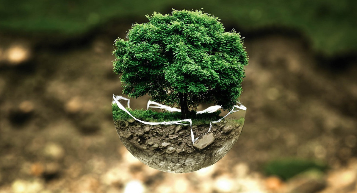 Nuestra tierra, nuestro futuro: Celebrando el Día del Medio Ambiente