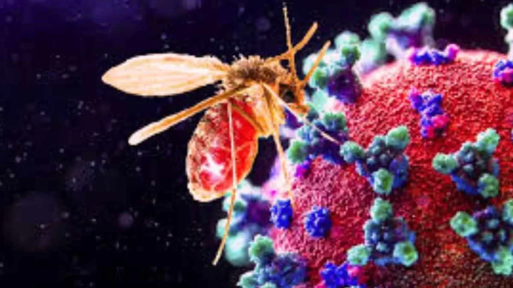 Aumentan fallecidos por virus poco conocido en la India