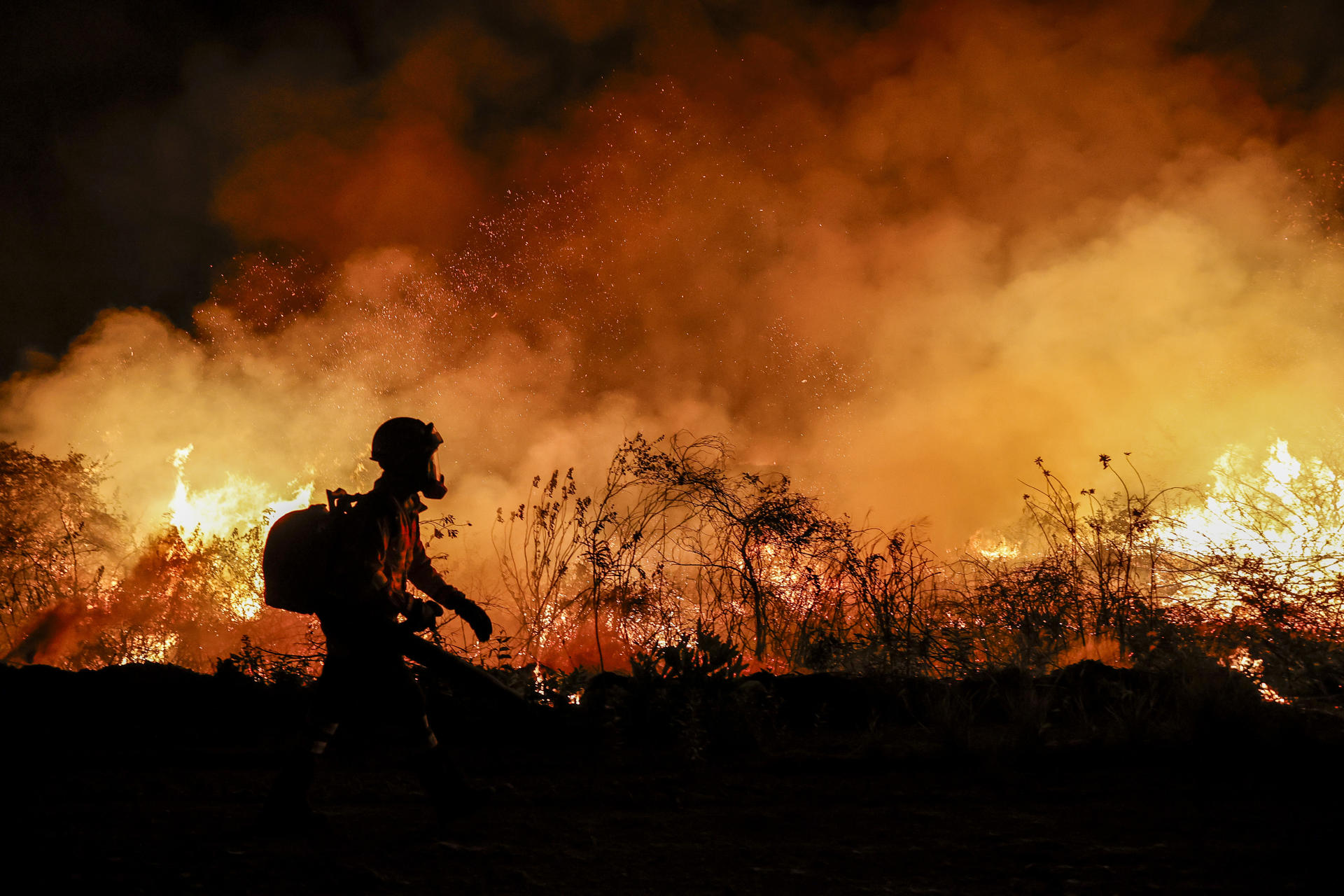 Incendios forestales arrasan varios países de Sudamérica