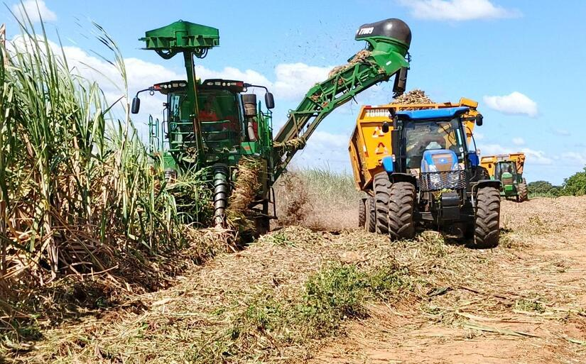 Producción de azúcar impulsa la economía en Nicaragua