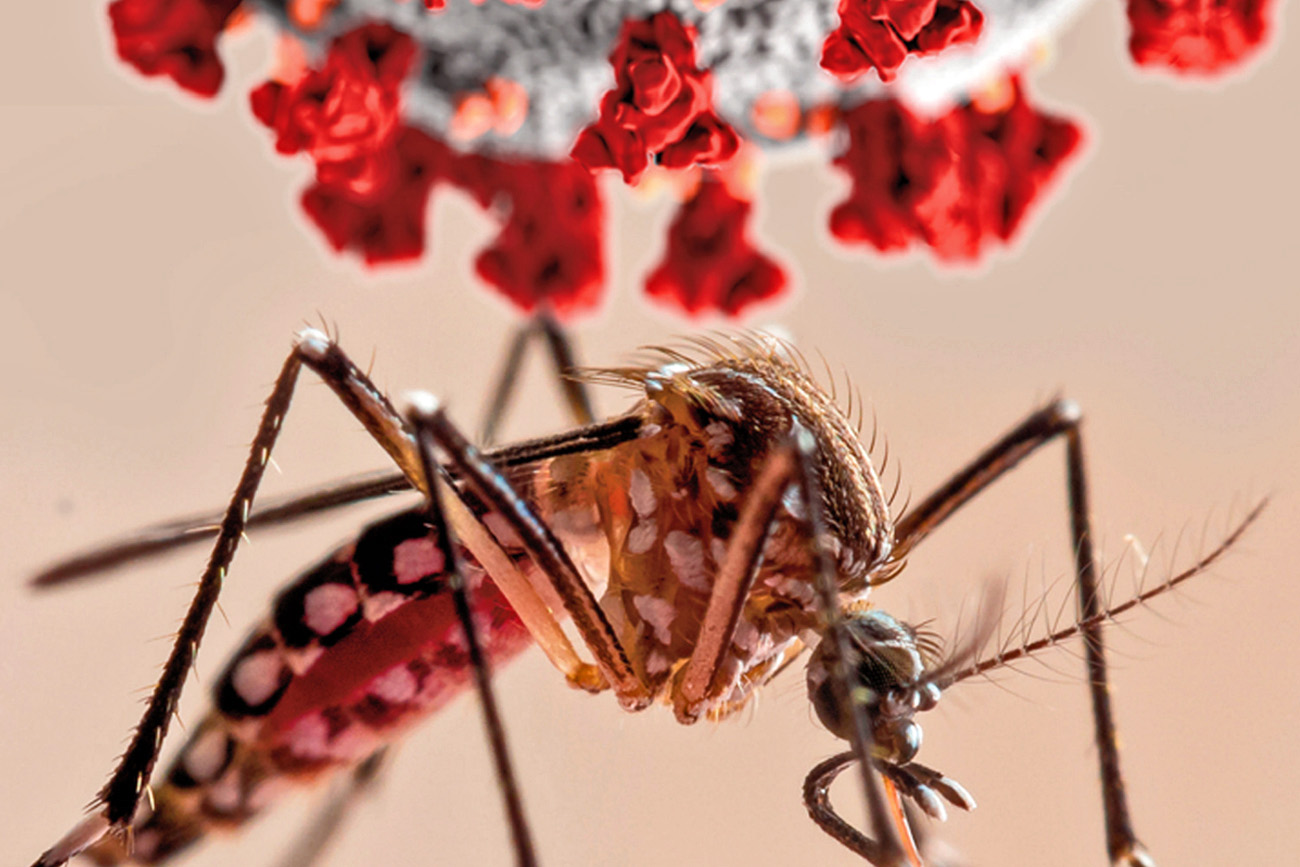 Casos de dengue y malaria aumentan en Nicaragua