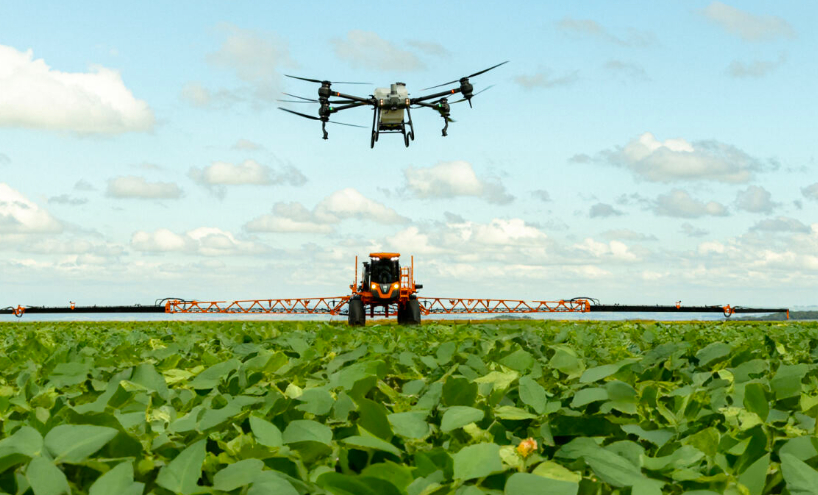 Innovación agrícola potencia la producción en Nicaragua