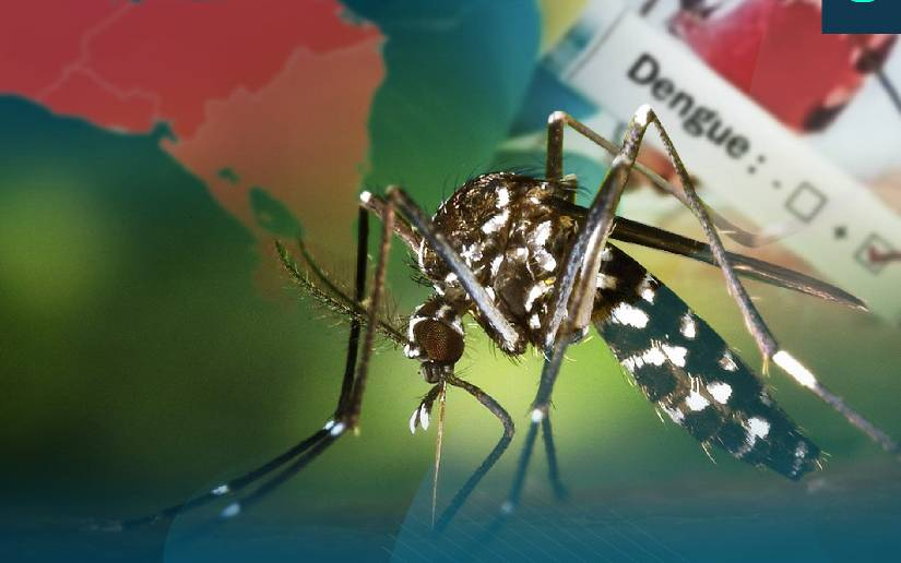Disminuyen Casos de Leptospirosis en Nicaragua
