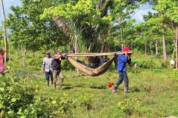 Disputa entre cuñados termina en asesinato en el Caribe Sur