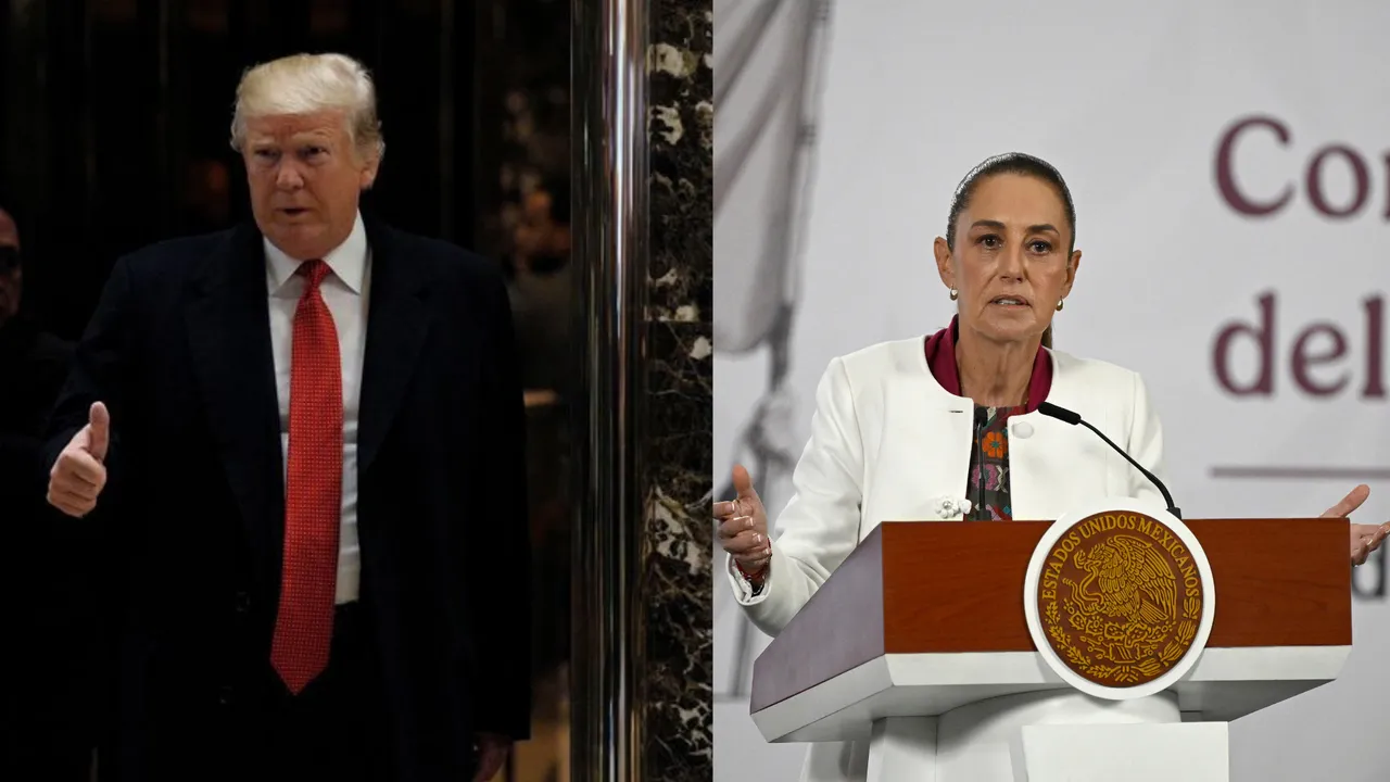 Trump pretende atacar a los cárteles que operan en México