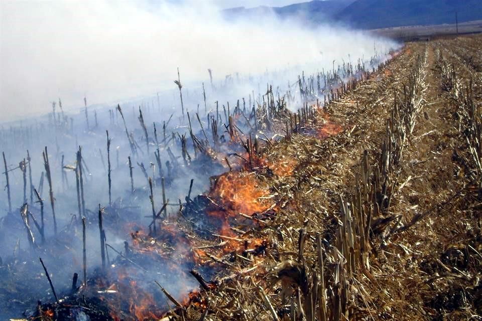 Quemas agrícolas un riesgo vial y ambiental en Nicaragua