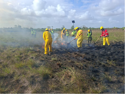 Refuerzan acciones para prevenir incendios forestales en Jinotega y Caribe Norte