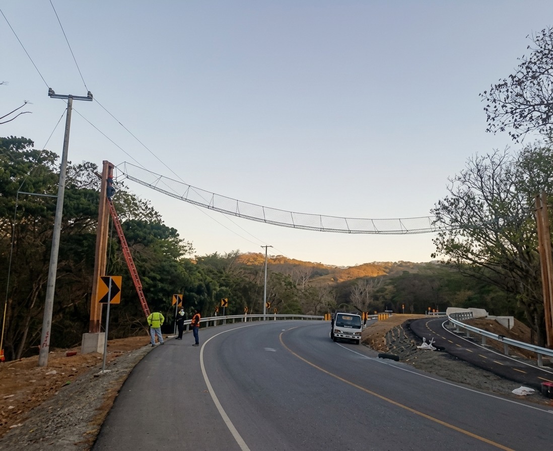 Carretera Costanera tendrá pasos aéreos para monos