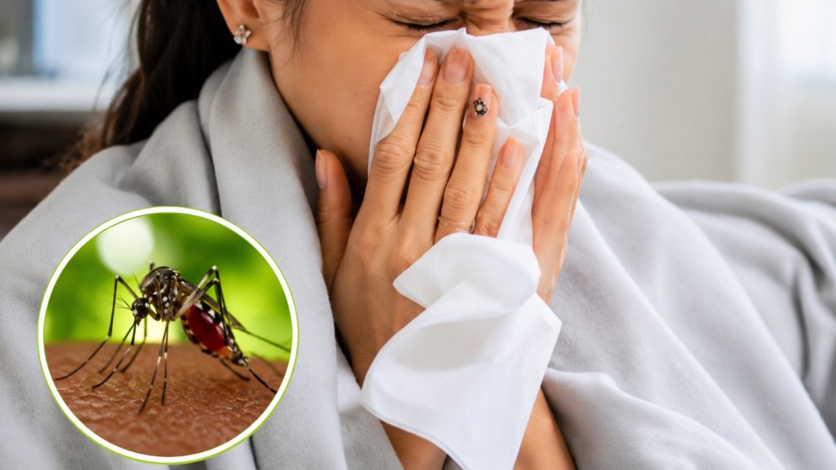 Influenza y malaria registran aumento de casos en Nicaragua